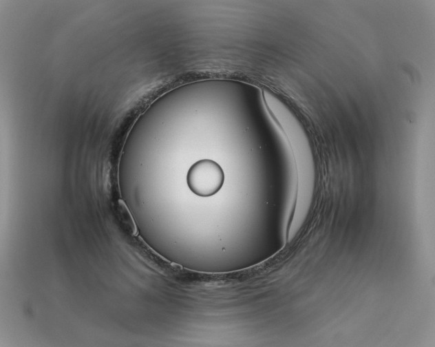 X0000113030692200909101858