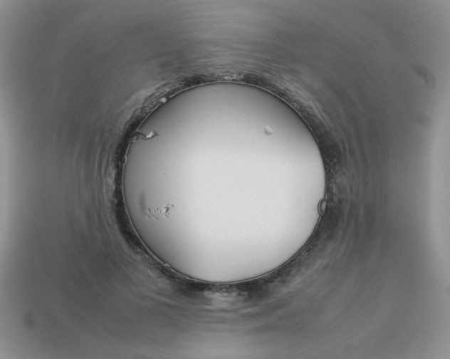 X0000113030693200909101858