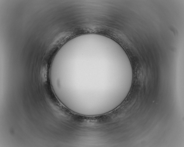 X0000113030694200909101858