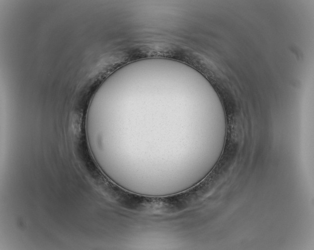 X0000113030695200909101858