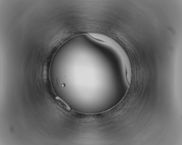 X0000113030696200909101858