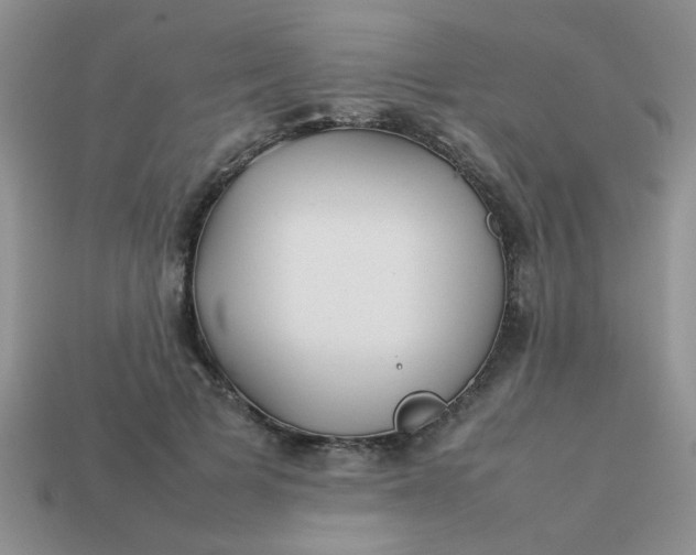 X0000113030697200909101858