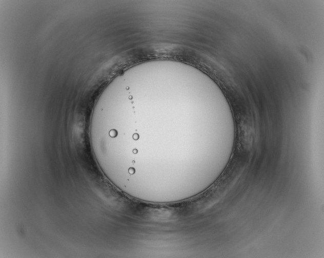 X0000113030698200909101858