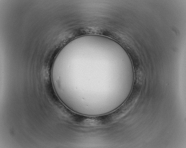 X0000113030699200909101858