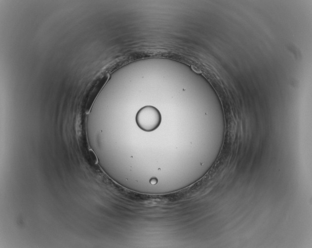 X0000113030700200909101858