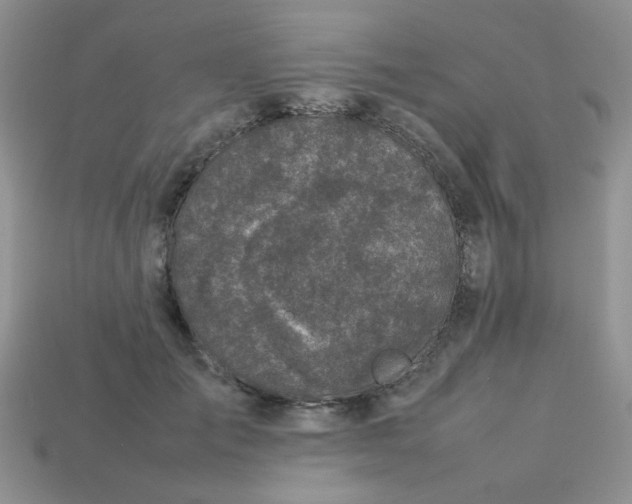 X0000113030701200909101858