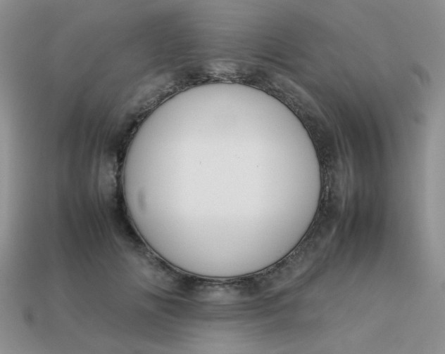 X0000113030702200909101858