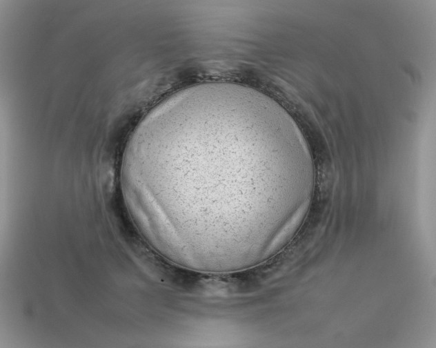 X0000113030703200909101858