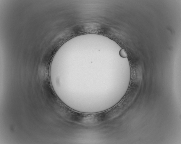 X0000113030705200909101858