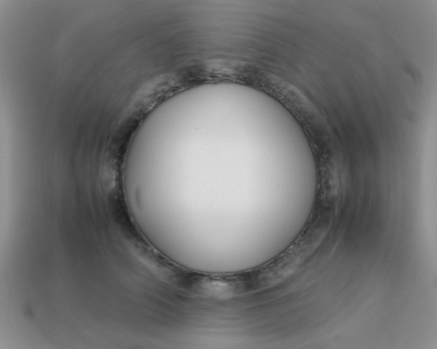 X0000113030706200909101858