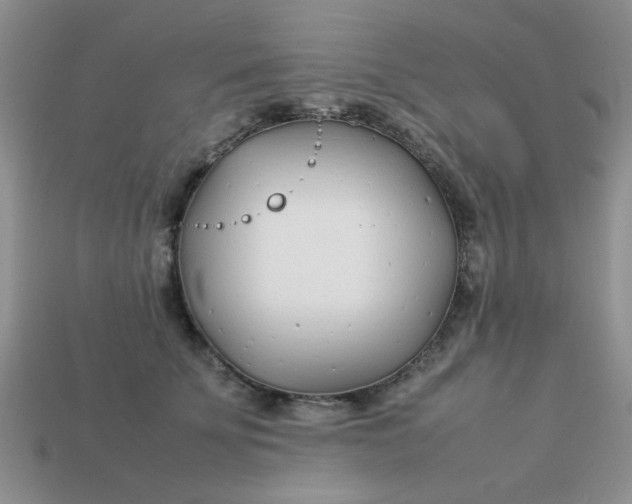 X0000113030707200909101858