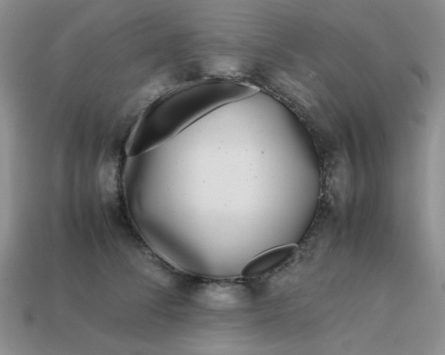 X0000113030708200909101858