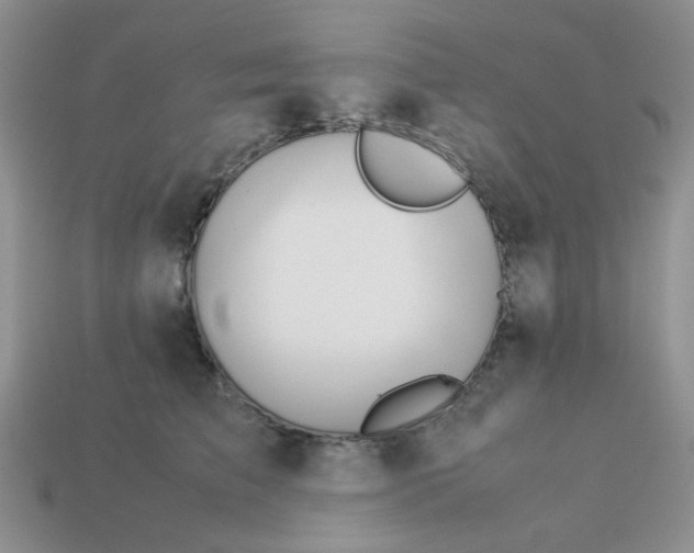 X0000113030709200909101858