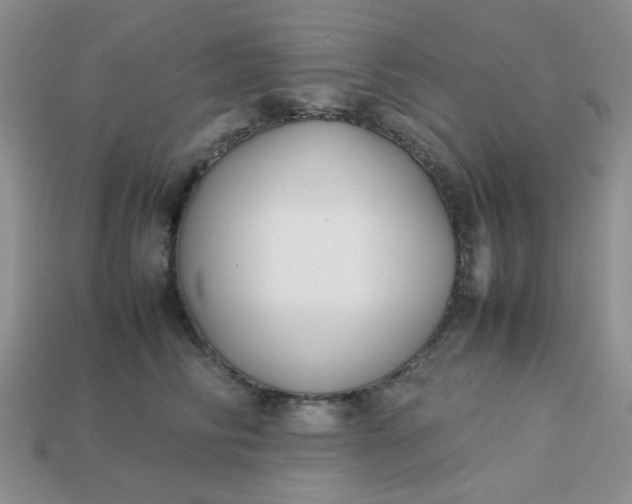 X0000113030710200909101858