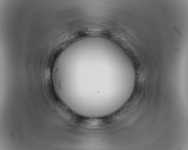 X0000113030711200909101858