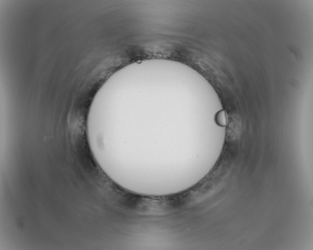 X0000113030713200909101858