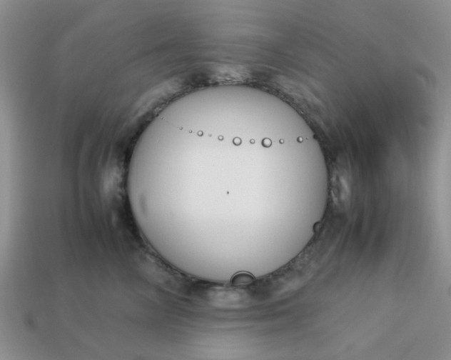 X0000113030714200909101858