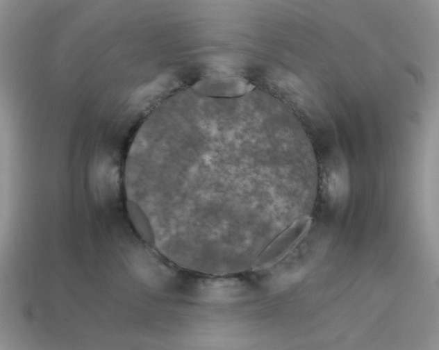 X0000113030716200909101858