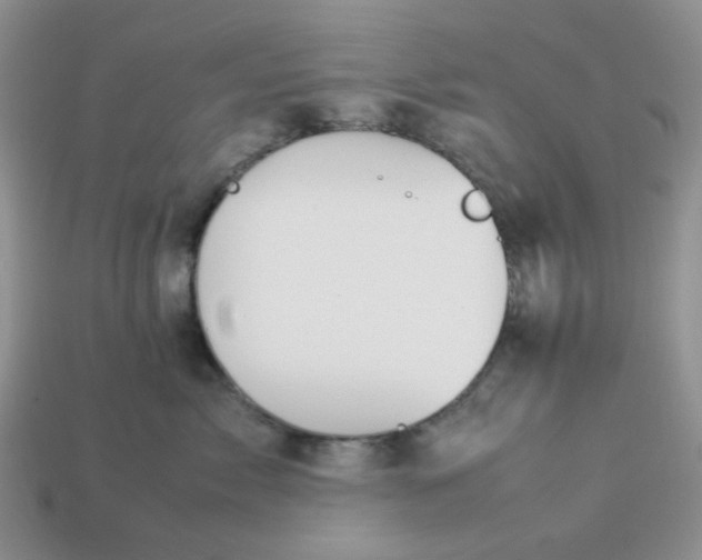 X0000113030717200909101858