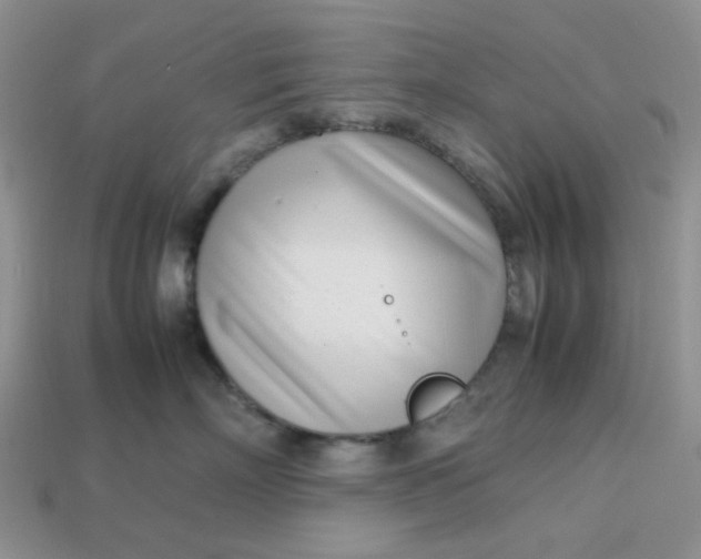 X0000113030718200909101858