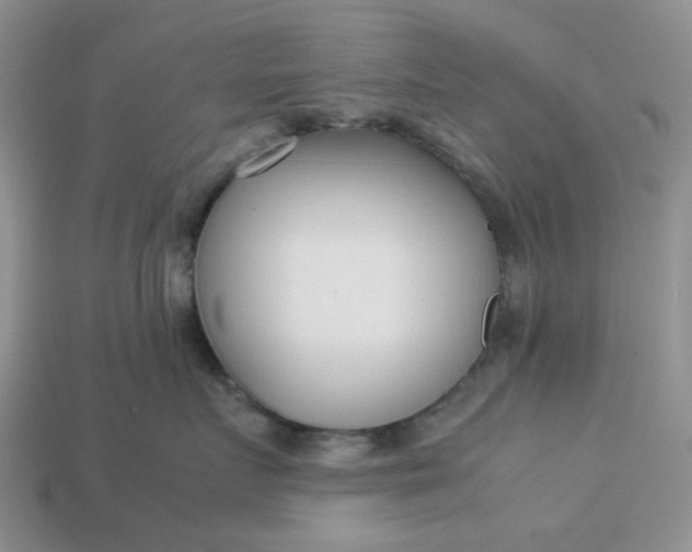 X0000113030719200909101858