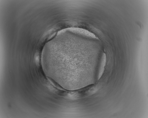 X0000113030720200909101858