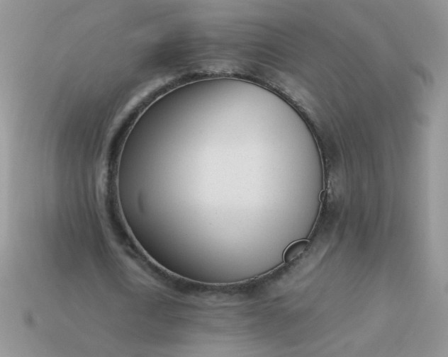 X0000113030722200909101857