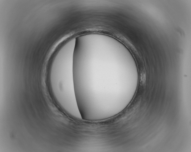 X0000113030724200909101857