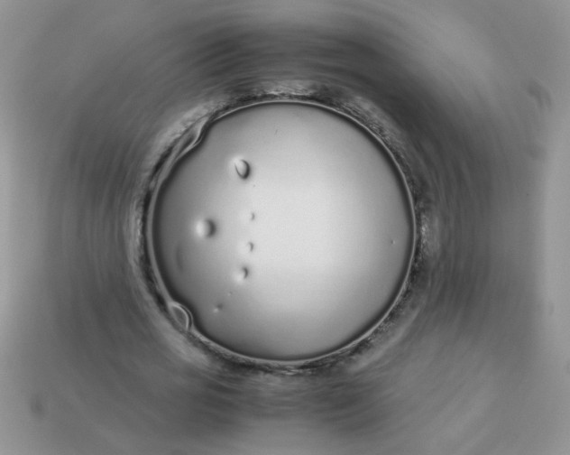 X0000113030725200909101857