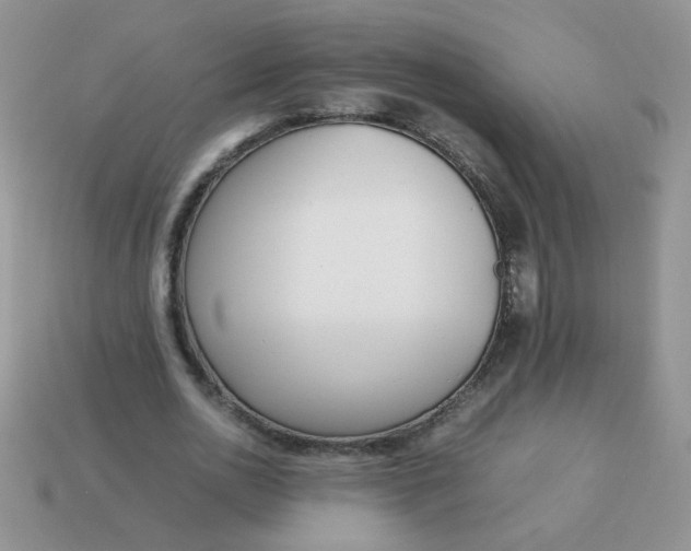 X0000113030726200909101857