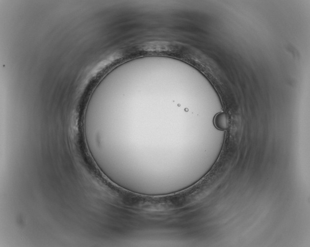 X0000113030727200909101857