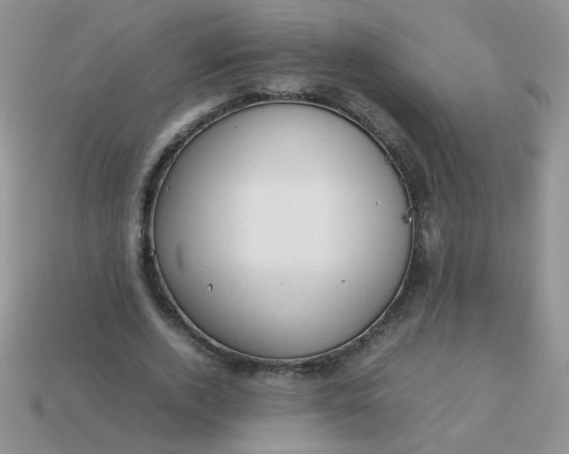 X0000113030728200909101857