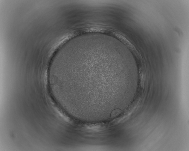 X0000113030729200909101857