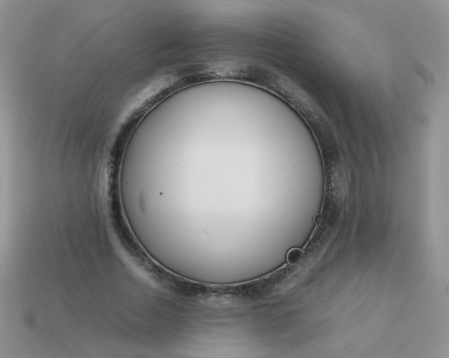 X0000113030730200909101857