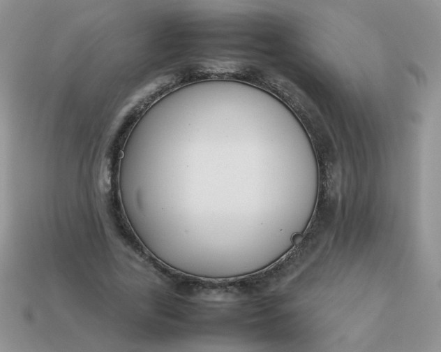 X0000113030731200909101857