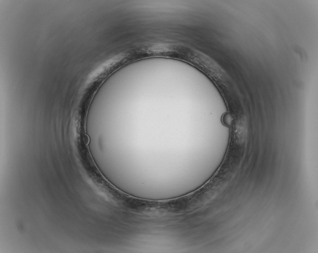 X0000113030732200909101857