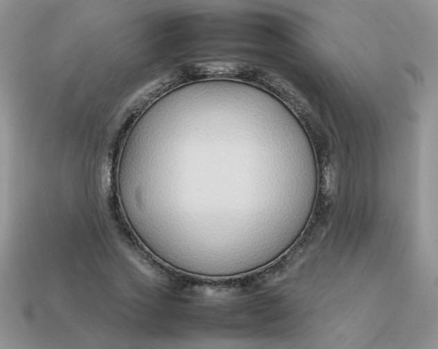 X0000113030733200909101857