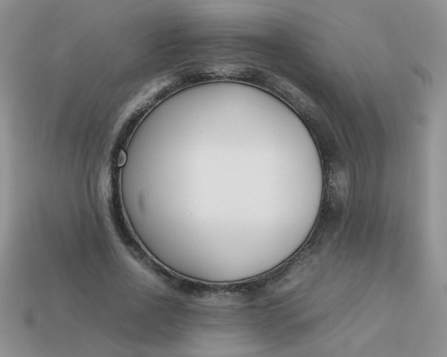 X0000113030734200909101857