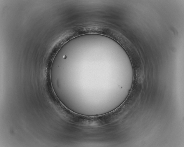 X0000113030735200909101857