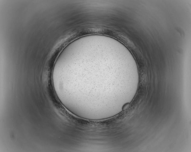 X0000113030736200909101857