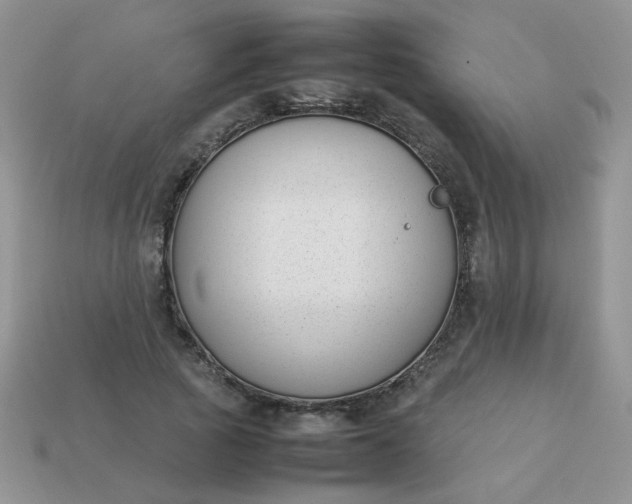 X0000113030737200909101857