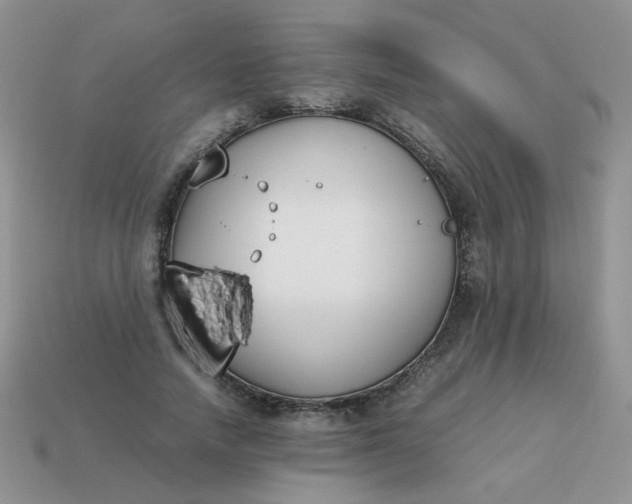 X0000113030738200909101857