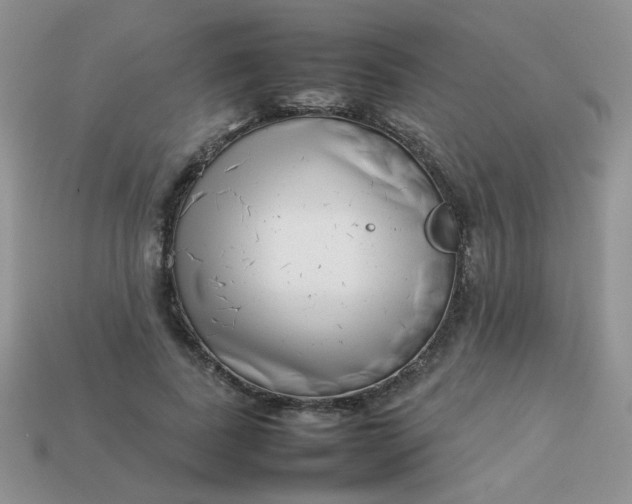 X0000113030739200909101857