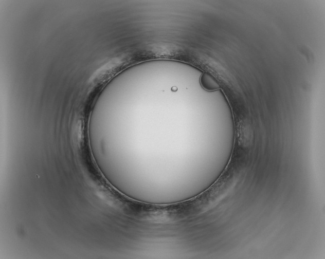 X0000113030740200909101857