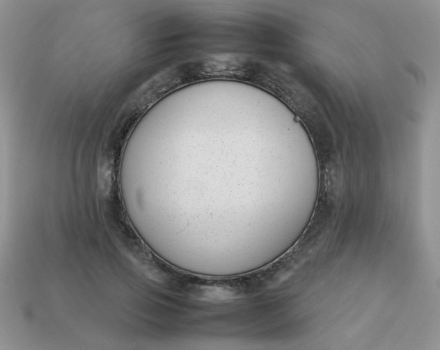 X0000113030741200909101857