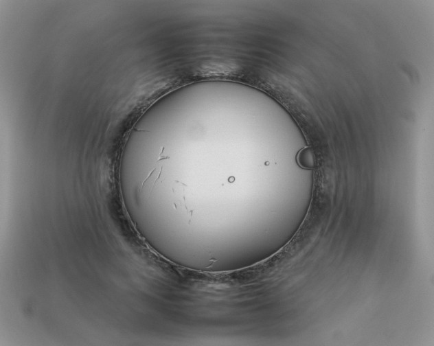 X0000113030743200909101857