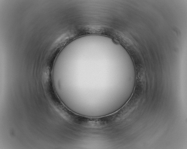 X0000113030744200909101857