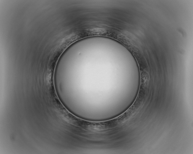 X0000113030745200909101857