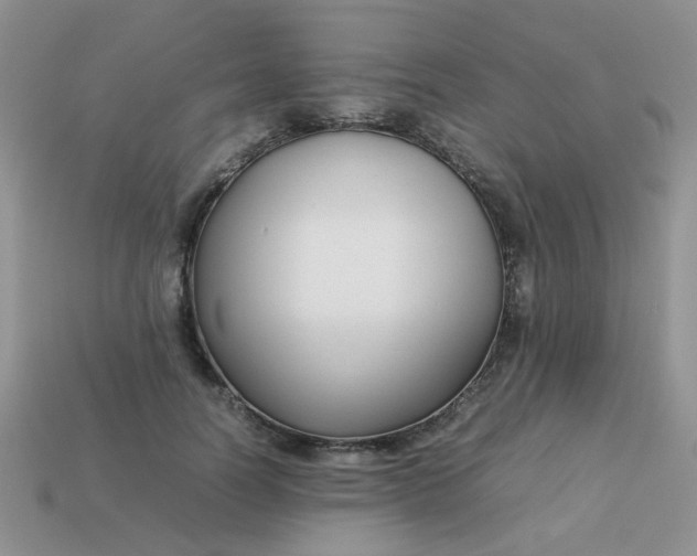 X0000113030746200909101857