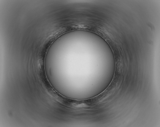 X0000113030747200909101857